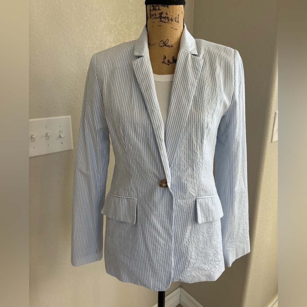 Workshop Republic Clothing Light Blue Striped Blazer